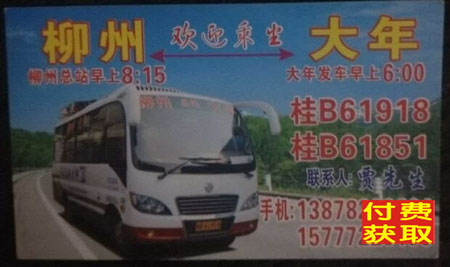 柳州到大年名片正面